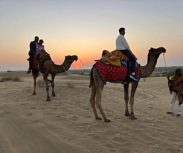 Camel Safari